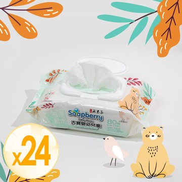 冰河水+EDI超純水 強保濕濕紙巾（80抽）一箱（24包）整箱出貨