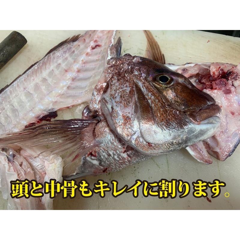 活〆　真鯛　１枚　約2.5ｋｇ（愛媛県産　養殖）