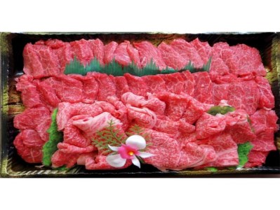 小田切牧場 信州プレミアム牛特選 焼肉セット（500g）