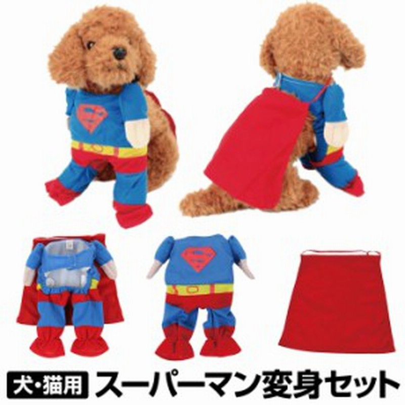 ワンちゃんネコちゃん 激カワ変身服 スーパーマン 犬 用 コスチューム ドッグウェア ドッグウェア スーパーマン 通販 Lineポイント最大1 0 Get Lineショッピング