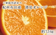 紀州有田産清見オレンジ　7.5kg※2024年3月下旬頃～2024年4月下旬頃に順次発送予定(お届け日指定不可)