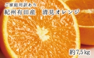 紀州有田産清見オレンジ　7.5kg 	※2024年3月下旬頃～2024年4月下旬頃に順次発送予定(お届け日指定不可)