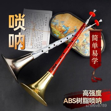 獨家正品🔥嗩吶 嗩吶為王 嗩吶樂器 烏木 專業者 初學者 嗩吶樂器樹脂仿烏木演奏全套初學者專業入門D調降B調民族喇叭