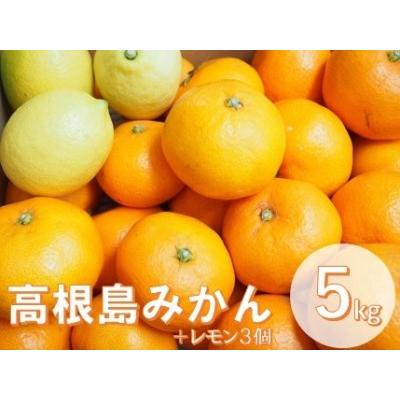 ふるさと納税 こだわり栽培　高根島みかん　5ｋｇ レモン3個入り　＜2023年11月下旬より発送開始＞ 広島県尾道市