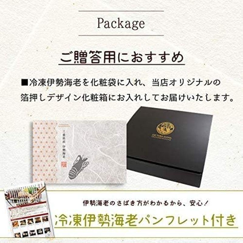 三重県産伊勢海老１尾４３０?４６０ｇ (ギフト梱包) お刺身用冷凍伊勢海老 鮮度の良い伊勢海老を瞬間凍結