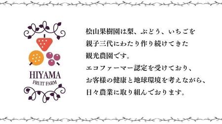  やよいひめ 2パック )　特大 ・ デラックス サイズ （茨城県共通返礼品／常陸太田市） 大粒 フルーツ 苺 イチゴ いちご 新鮮 朝採れ 茨城県 桧山FRUITFARM [DY013sa]