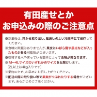 一度は食べていただきたい! 有田産のせとか 青秀以上 約4～5kg （サイズおまかせ） 厳選館 《2024年2月下旬-4月上旬頃より順次出荷》 和歌山県 日高川町 せとか 柑橘 有田産