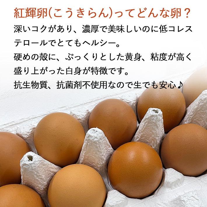 手づくり卵農場 平飼い卵 紅輝卵 こうきらん 30個入り 山形県産 クール便