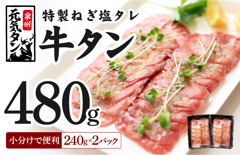 099H2278 ねぎ塩牛たん 約480g（240g×2）焼肉用 薄切り 訳あり サイズ不揃い