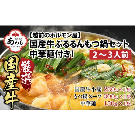 ふるさと納税 キャンプ飯 ぷるるんもつ鍋セット 中華麺付き！（約2〜3人前）みそ味 越前のホルモン屋 国産牛   味噌 モツ鍋 小腸 ホルモン 鍋 .. 福井県あわら市