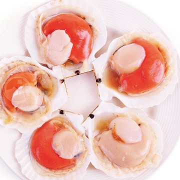 極鮮半殼扇貝3包組(300公克/1包)【3包免運】