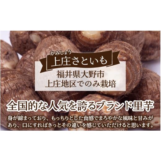 ふるさと納税 福井県 大野市 上庄さといも 10kg 減農薬・減化学肥料の特別栽培里芋