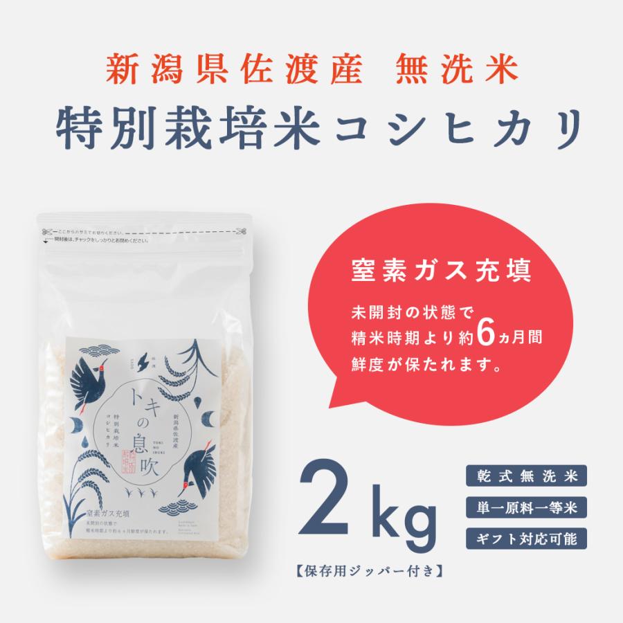 無洗米 2kg コシヒカリ 新潟 佐渡 特別栽培米 こしひかり 令和4年産 送料無料