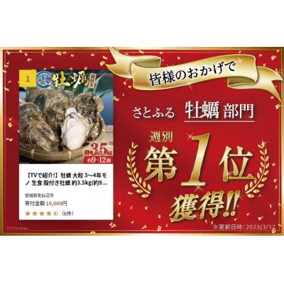 ふるさと納税 気仙沼市 牡蠣 大粒 3〜4年モノ 生食 殻付き牡蠣 約3kg(約9-12個入)[20562174]