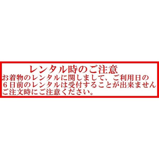 往復送料無料 3泊4日 訪問着 レンタル  C 訪問着 No.011-1184-S