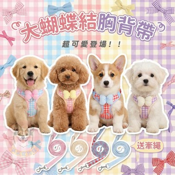 🎀大蝴蝶結胸背帶🎀 寵物胸背帶 狗狗胸背帶 貓咪胸背帶 狗胸背帶 貓胸背帶 幼犬胸背帶 小型犬胸背帶胸背狗胸背寵物背帶