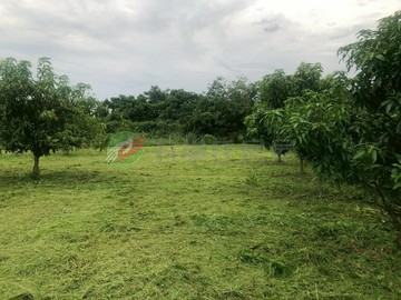 龍泉芒果休閒都農 有水有電   地形面寬好規劃｜屏東縣內埔鄉上龍泉段