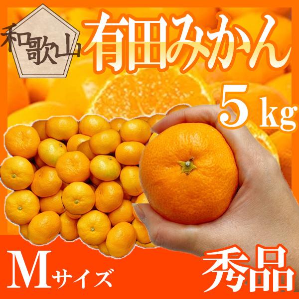 和歌山県産　有田みかん　M　約5kg　秀品