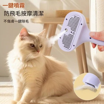 【針梳設計 可加乾洗液】寵物噴霧梳子 除毛梳 寵物噴霧梳 廢毛梳 一鍵除毛 噴霧按摩梳 梳毛器 退毛梳 寵物針梳