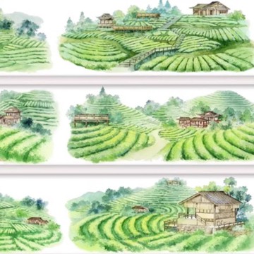 十裡茶莊 和紙/PET 膠帶 5米卷