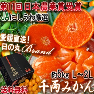 産地直送 千両みかん 約5kg L～2L 大玉サイズ 愛媛県産 JAにしうわが誇る最高峰のブランド、日の丸蜜柑！