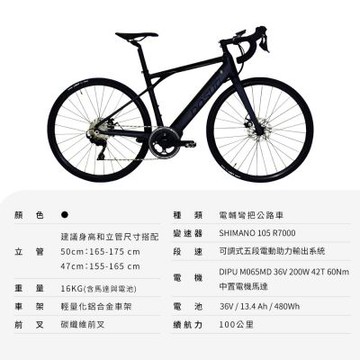 【DOSUN】電動輔助自行車 RT100 47CM 油壓碟 香檳金 送安裝(車麗屋)