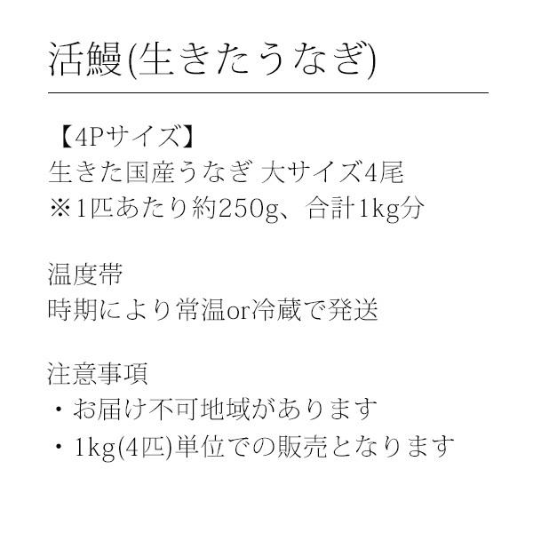 生きたうなぎ 大サイズ4尾 4p 1kg 鰻 活鰻 業務用 活ウナギ