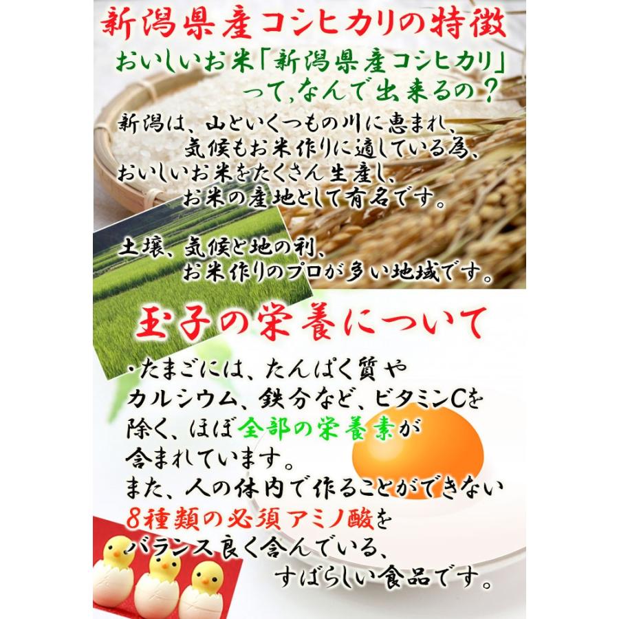 玉子がゆ250ｇ 豆類 雑穀米 低カロリー レトルト食品 おかゆ 新潟県産こしひかり 国産 たいまつ食品