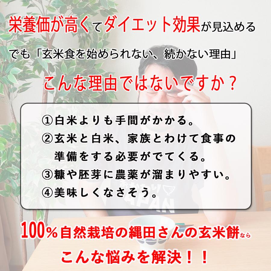 八十八夜　縄田さんちの玄米餅　400G×5パック