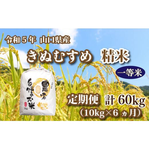 ふるさと納税 山口県 下関市 令和5年 山口県産 きぬむすめ 精米 10kg×6回