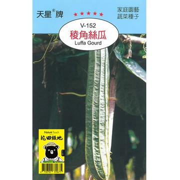 花田綠地種子-稜角絲瓜