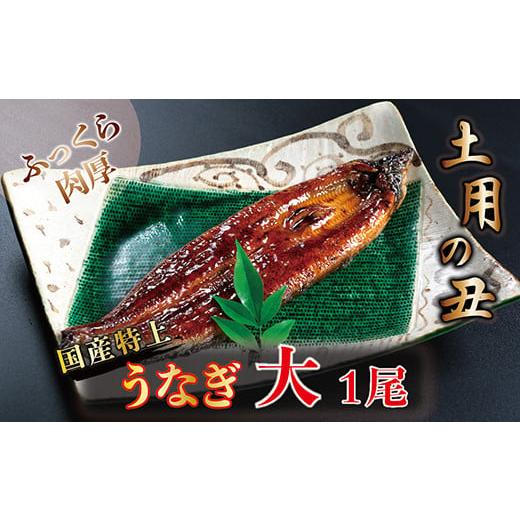 ふるさと納税 福井県 越前市 国産！特上うなぎのかば焼き 約200g × 1尾