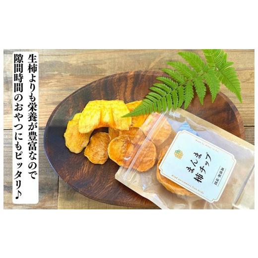 ふるさと納税 和歌山県 有田川町 ドライフルーツ 柿チップ 1kg 50g × 20袋 和歌山県産 果物使用 自社製造 