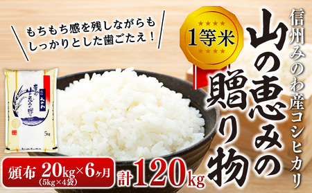 ６ヶ月連続お届け 定期便 信州産 コシヒカリ 1等米 「山の恵みの贈り物」 20kg(5kg×4袋) 計120kg （ お米 コシヒカリ 白米 搗きたて米 低温貯蔵米 食品