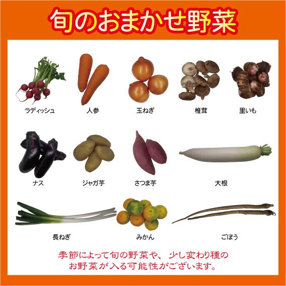 糸島新鮮産直野菜おまかせセット８品〜１０品