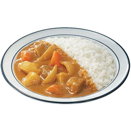 オリエンタル 即席カレー 95g*10個