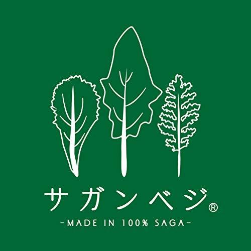 令和4年度産 新米　佐賀県産　植物性のみで育てたビーガン米10kg玄米