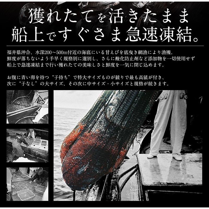 甘エビ 甘えび 子なし 小サイズ 1kg（500g×2箱）約80〜100尾入り 刺身用 越前産 甘えび 海老 えび エビ 贈り物 お祝い プレゼント 冬グルメ 冬ギフト