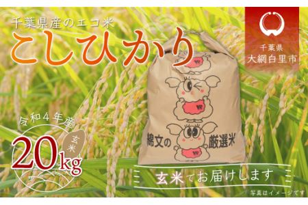 令和5年産 千葉県産エコ米「コシヒカリ」玄米20kg（20kg×1袋）