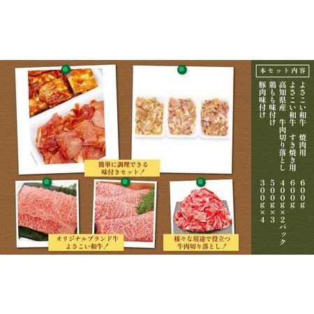 ふるさと納税 簡単調理!お肉の詰め合わせセット(計　約4.7kg) 高知県高知市