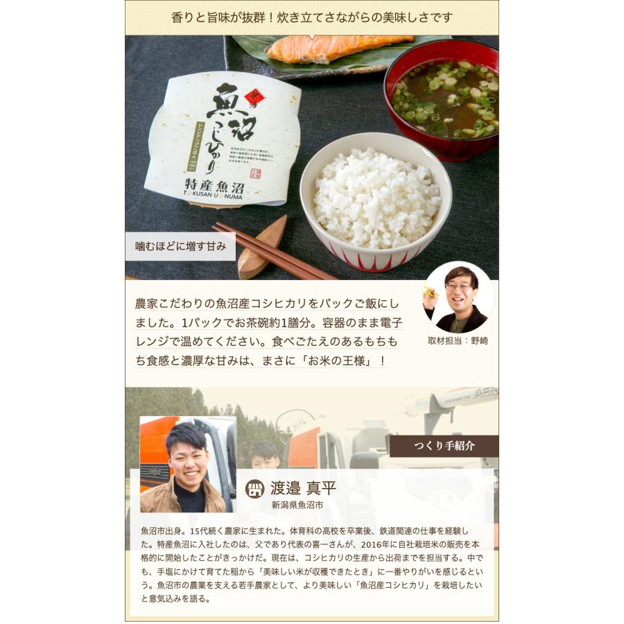 パックごはん 10パック入り 特産魚沼 送料無料