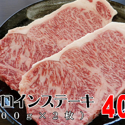 牛肉 飛騨牛 サーロイン ステーキ セット 400ｇ （ 1枚 約200ｇ × 2枚 ） 黒毛和牛 Ａ5 美味しい お肉 牛 肉 和牛 サーロインステーキ 