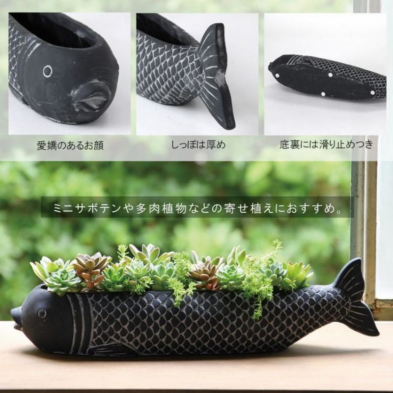CJ PLANTS × TOOCO 通そ 陶器鉢