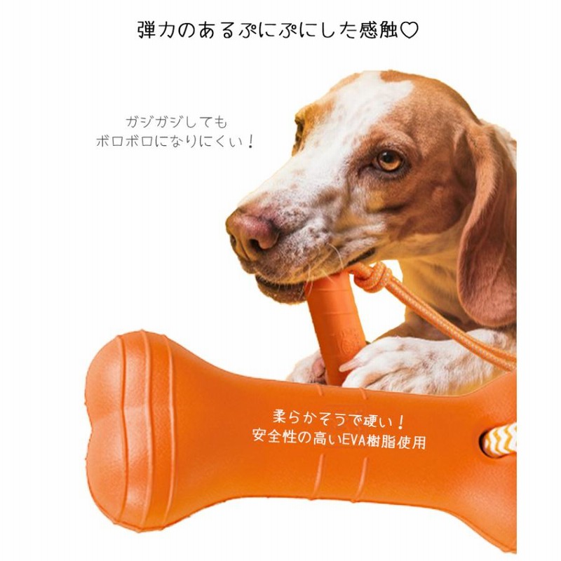 81%OFF!】 水に浮かぶ アニマル いぬ