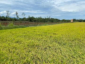 員山童玩公園旁雙面路大面寬足坪農地｜宜蘭縣員山鄉東德段