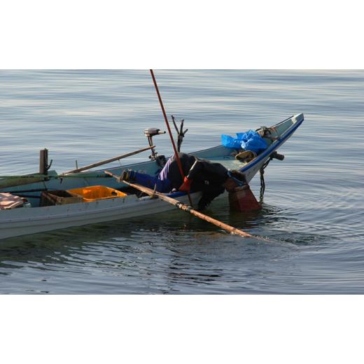 ふるさと納税 北海道 礼文町 北海道 礼文島産 無添加 蝦夷バフンウニ 折詰200g×2 ウニ