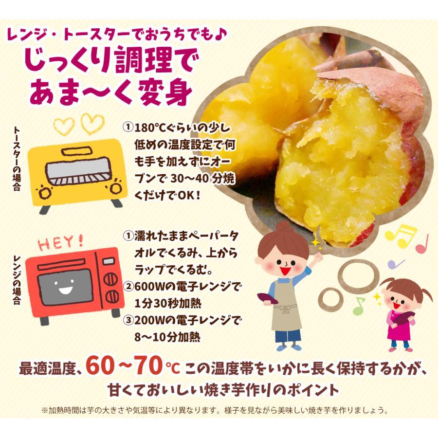 さつまいも 紅はるか 5kg 数量限定 九州産 ご家庭用 訳あり 送料無料 食品