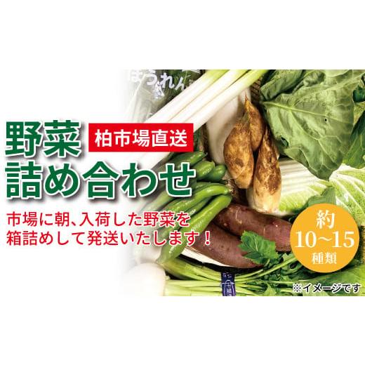 ふるさと納税 千葉県 柏市 柏市場直送野菜詰め合わせセット