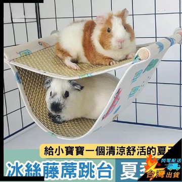 【台灣出貨】倉鼠窩 小寵物吊床 龍貓吊床 天竺鼠睡窩 小寵跳台 天竺鼠吊床  天竺鼠用品 金絲熊 蜜袋鼯 松鼠懸掛跳台