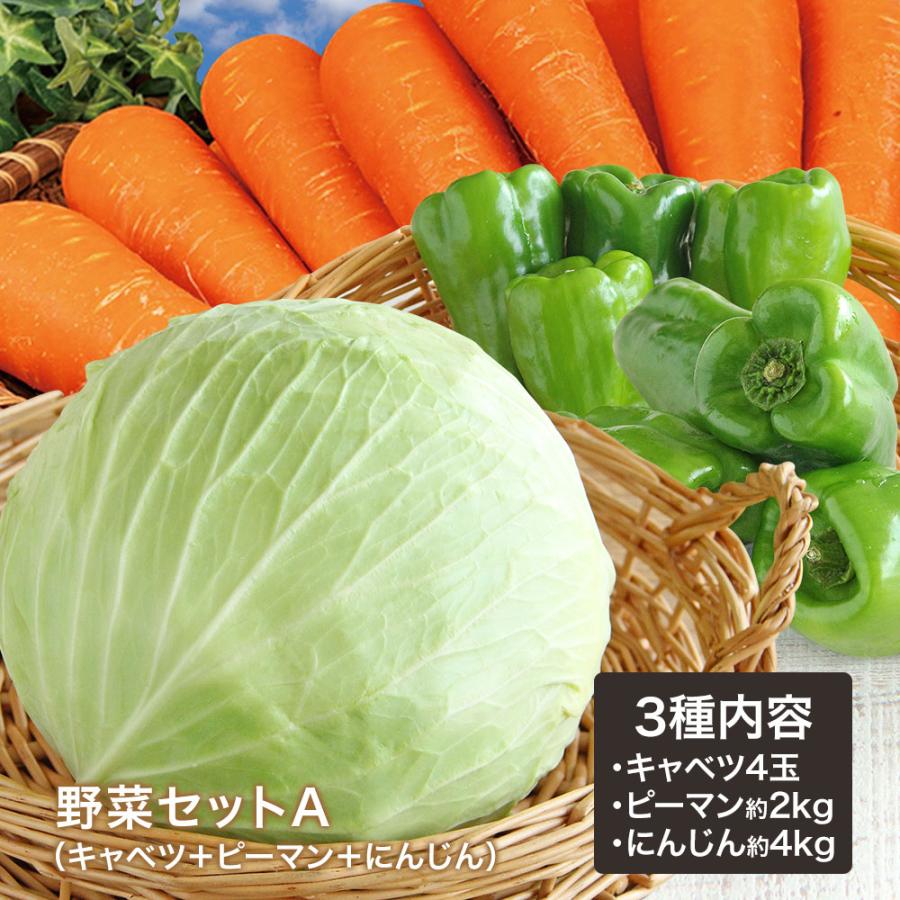 野菜セットA（キャベツ4玉・ピーマン約2kg・にんじん約4kg）3種セット きゃべつ ぴーまん 人参 定番 万能 おうちごはん おうち時間 ご家庭用 大量